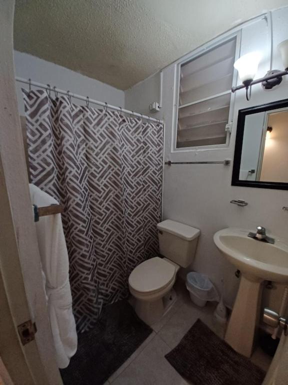 Family House Rain Forest And Beaches Pet Friendly Río Grande Eksteriør bilde