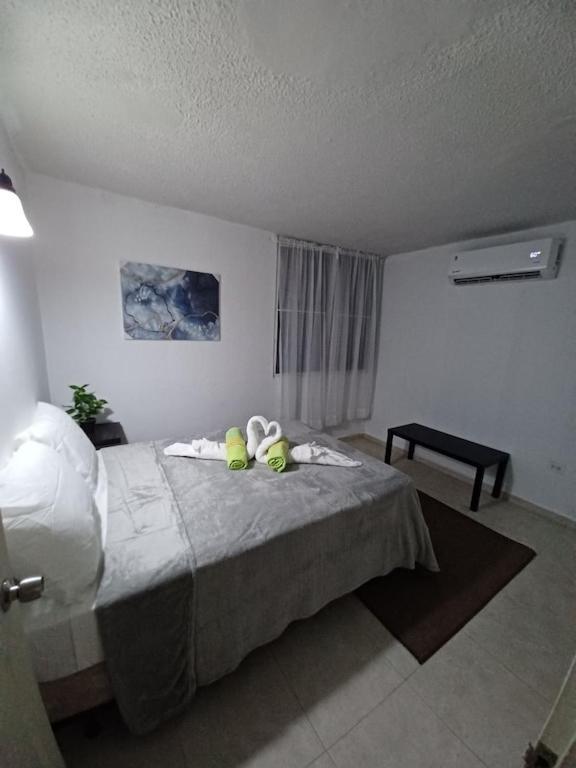 Family House Rain Forest And Beaches Pet Friendly Río Grande Eksteriør bilde