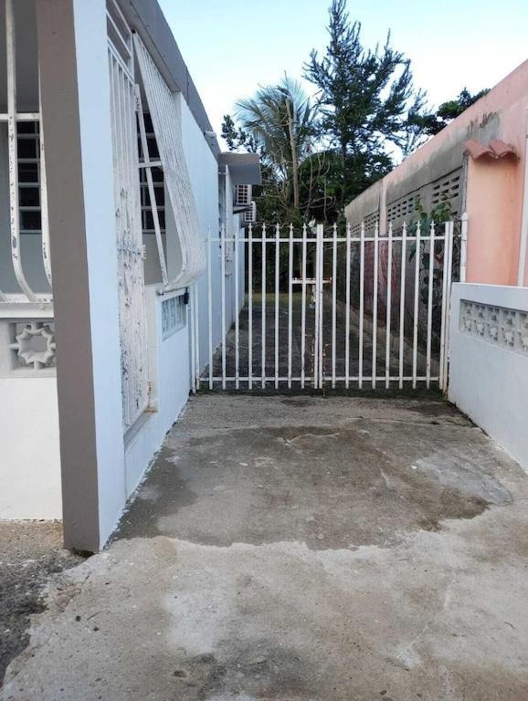 Family House Rain Forest And Beaches Pet Friendly Río Grande Eksteriør bilde